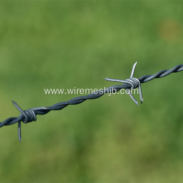 Galvanized Barbed Wire Double Strand Reverse Twist